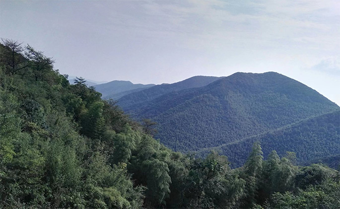 宜興旅游網(wǎng)站建設