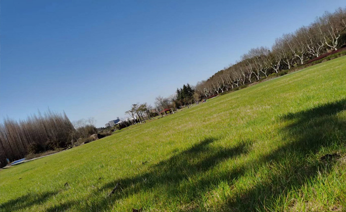 宜興旅游網(wǎng)站建設