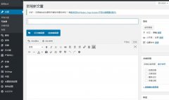 剛真正接觸wordpress程序網(wǎng)站設計的一些心得